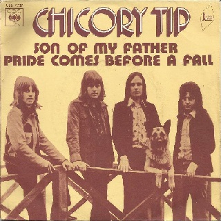 picture of Son Of My Father by Chicory Tip sleeve